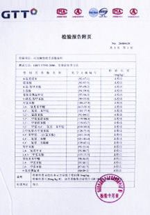 GTT检测报告测试