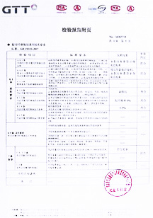 GTT检测报告